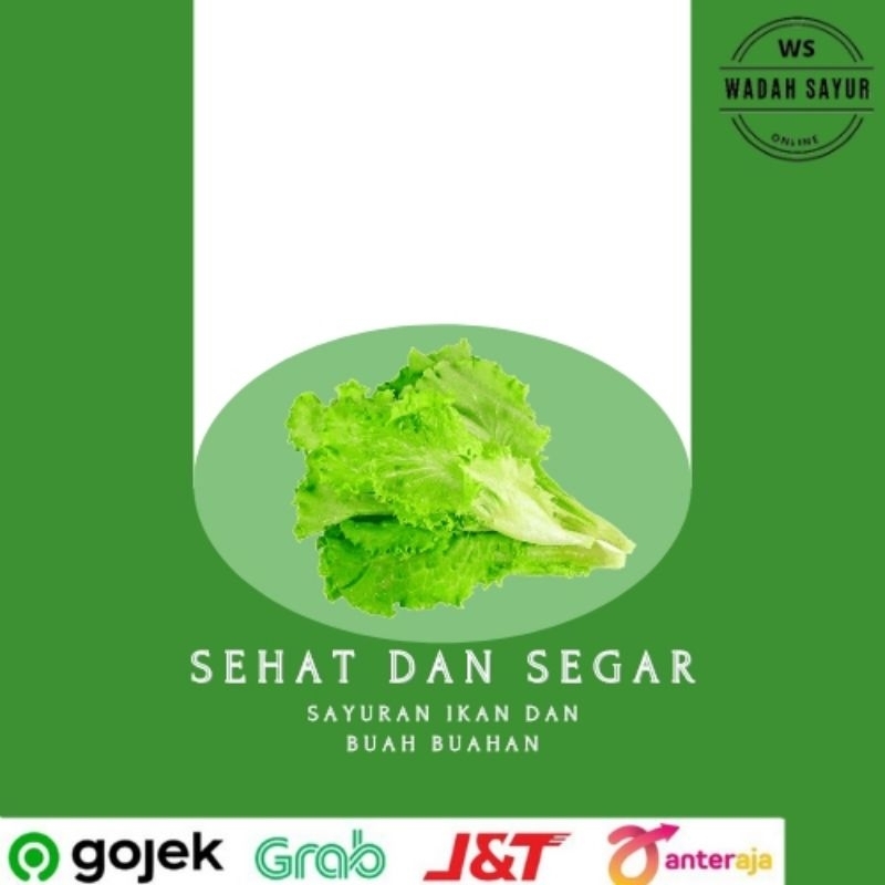 

Selada Air, Segar ( 250 Gram ) | Wadah Sayur Bogor