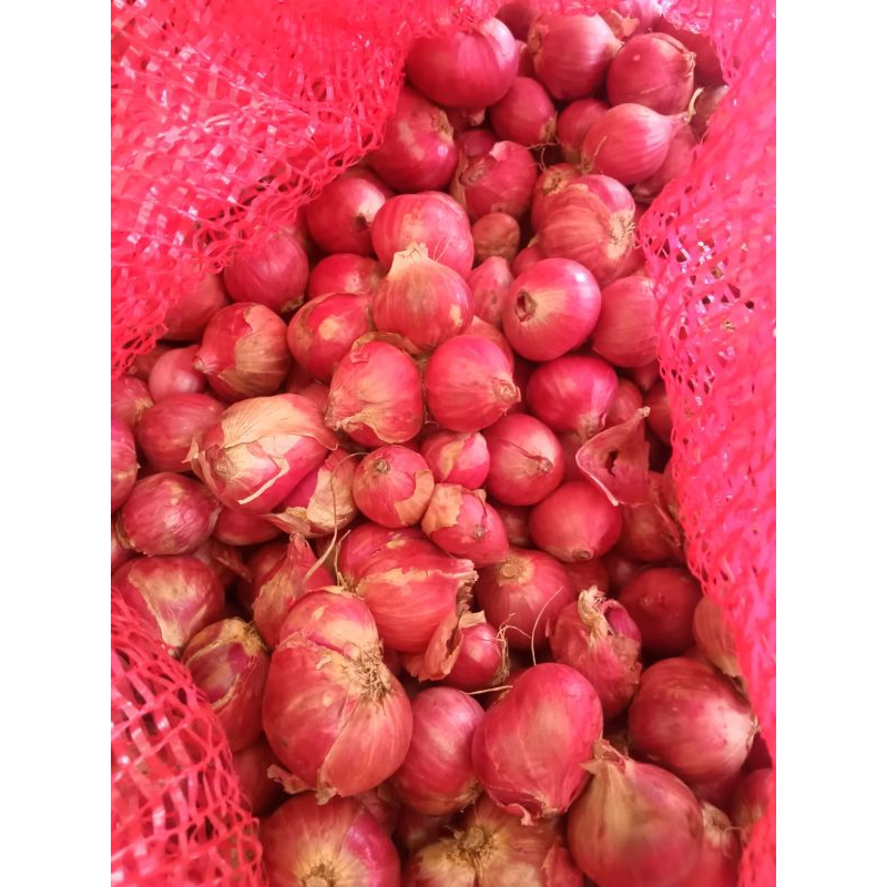 

Bawang Merah
