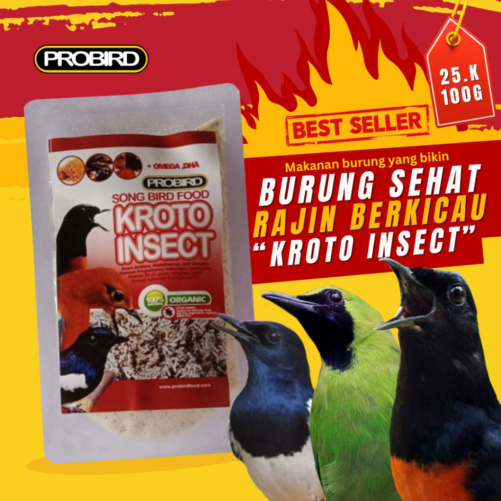PAKAN BURUNG BERKICAU KROTO INSECT TERBUAT DARI KROTO KERING DAN CEDE