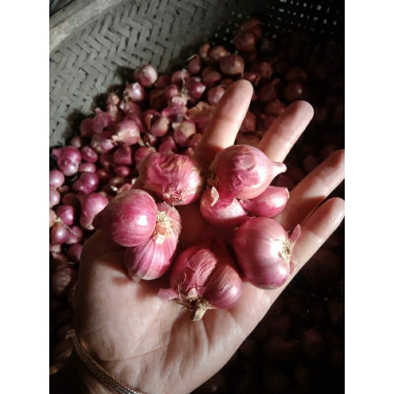 

bwang merah 1kg