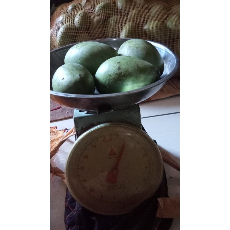 

Mangga Manalagi