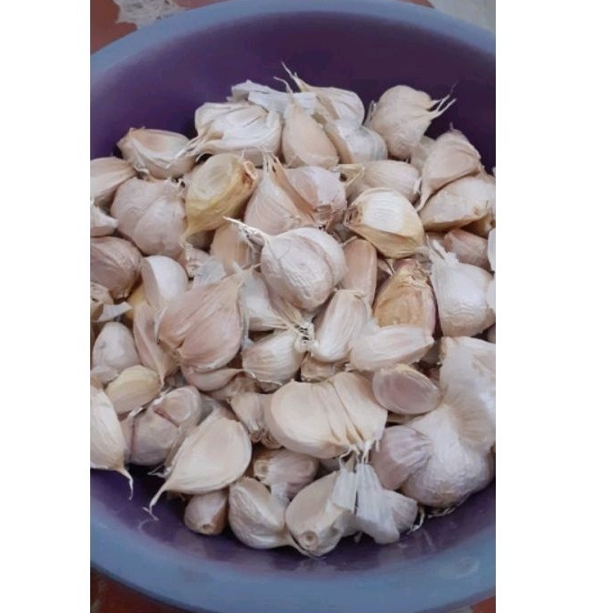 

Bawang Putih Kanting