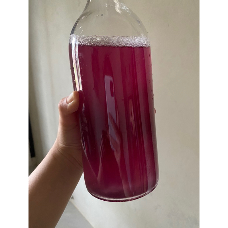 

Butterflypea Lemonade Kombucha