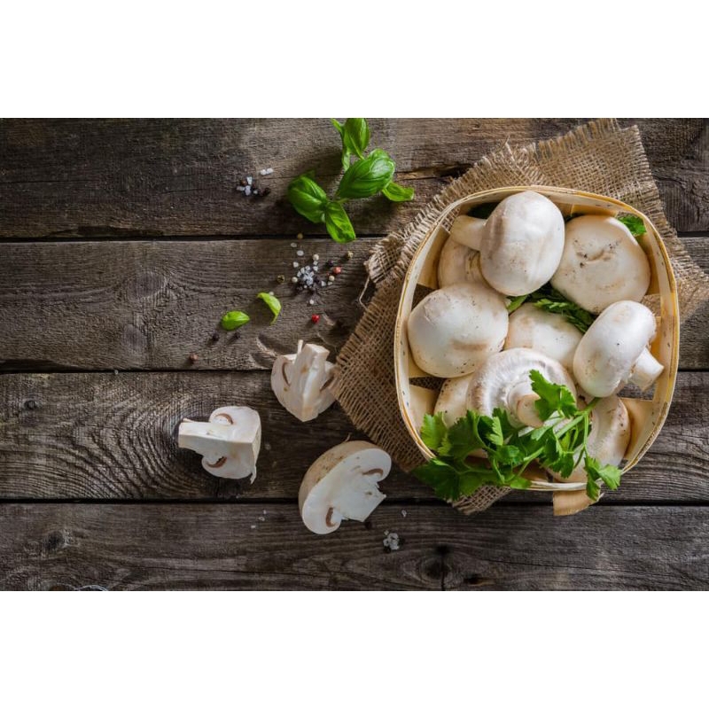 

Jamur Kancing (Champignon)