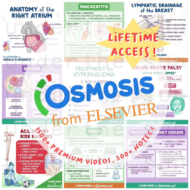 Osmosis PRIME Full Package Lifetime (Updated 2023!) | Paket belajar bimbel FK Kedokteran