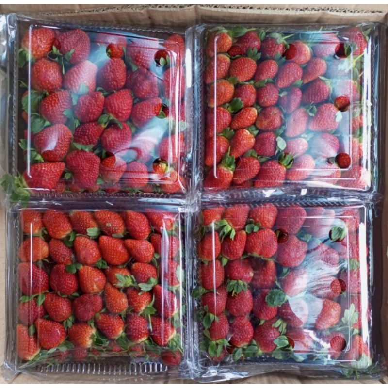 

Strawberry 5 baris
