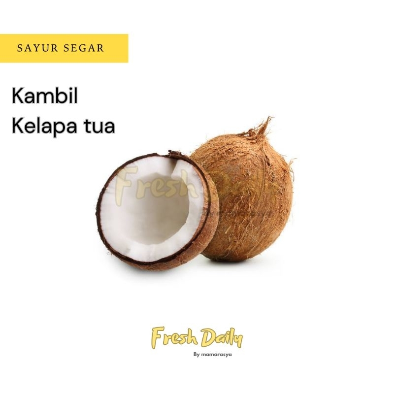 

Kelapa tua / kambil ½ butir