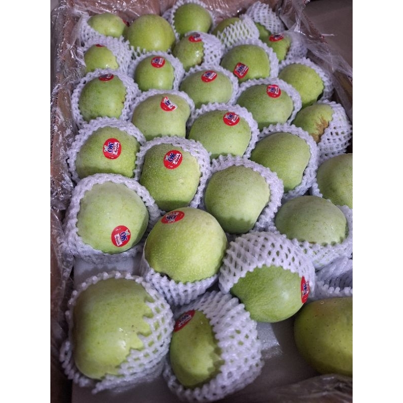 

apel hijau apel green smith per 1kg