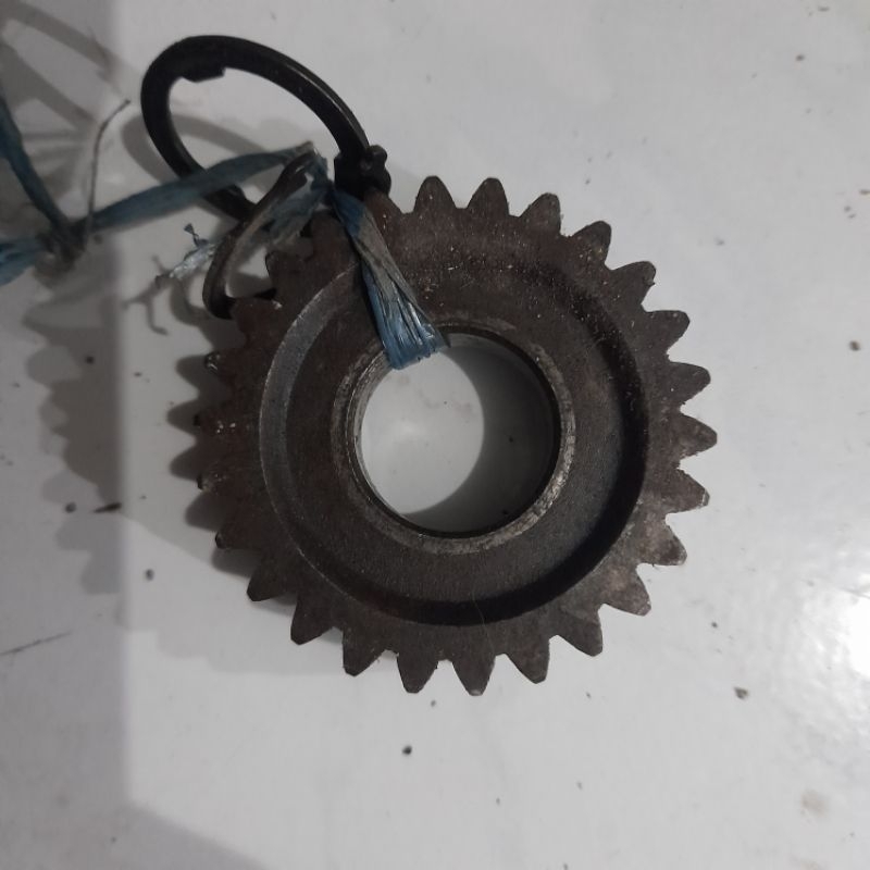 gigi mata 26 oplos rasio tiger