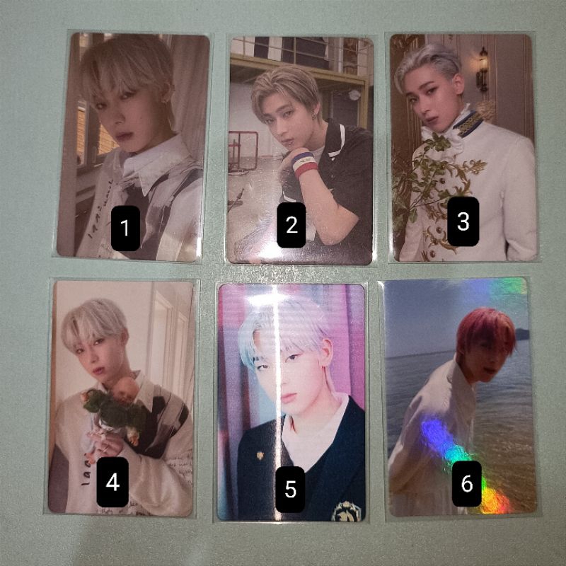 Photocard Sunoo Official/Sunoo Boneka/Sunoo Pangeran/Sunoo dilaut