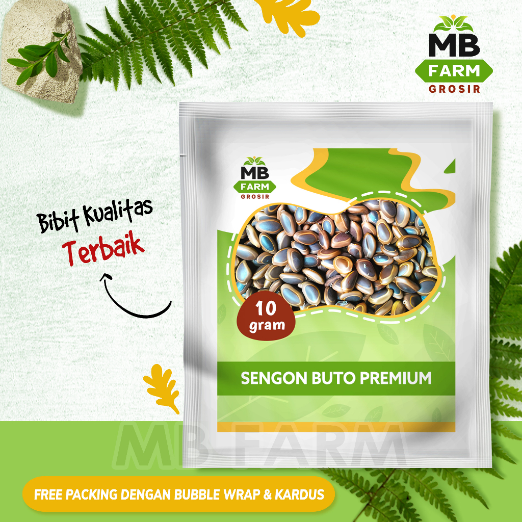 Benih sengon buto premium 10 gram / bibit pohon sengon buto biji sengon MB FARM