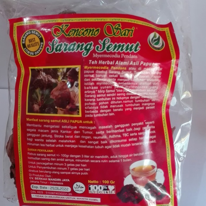 

Sarang Semut kencono sari Myermecodia Pandans/Teh Herbal Alami Asli Papua 100 Gram