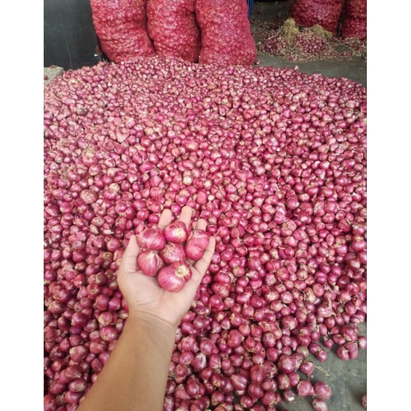 

Bawang merah Probolinggo