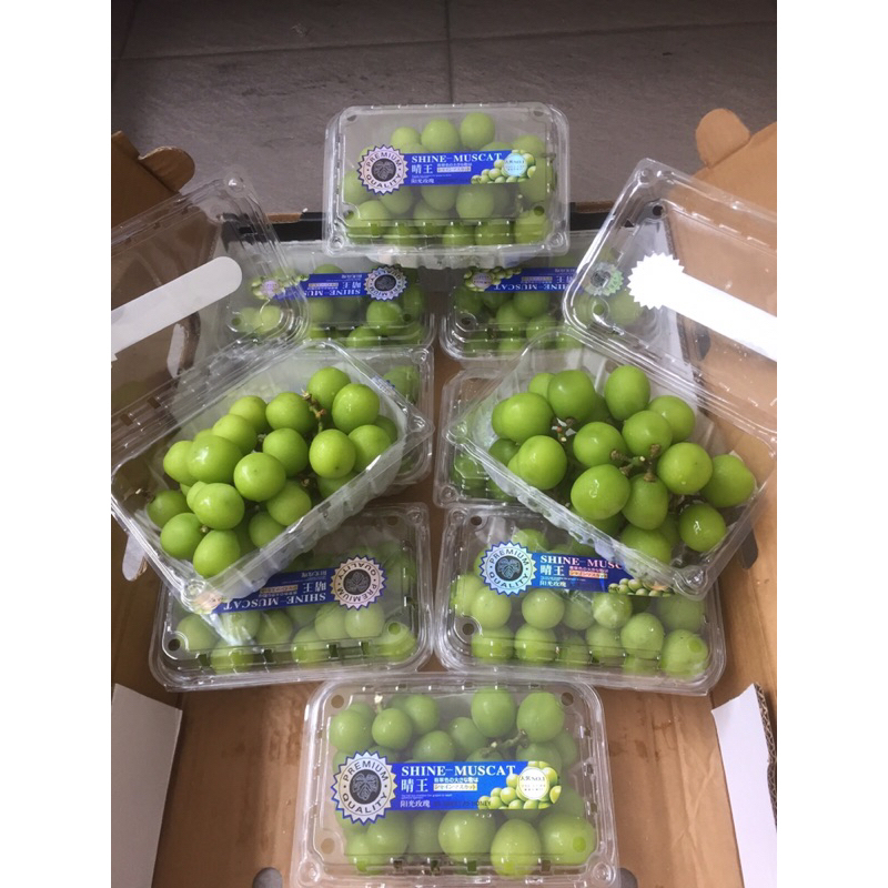 

Anggur Hijau Shine Muscat 1 Dus (Isi :10 Pack) Fresh Import