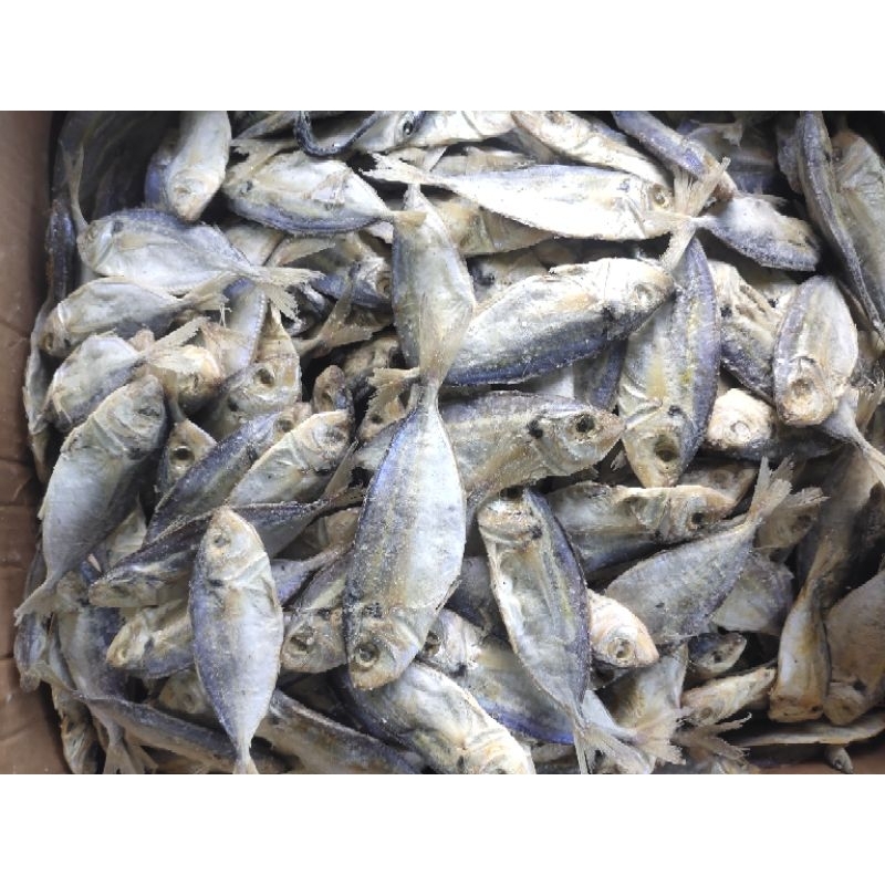 

ikan selar merah/belitung