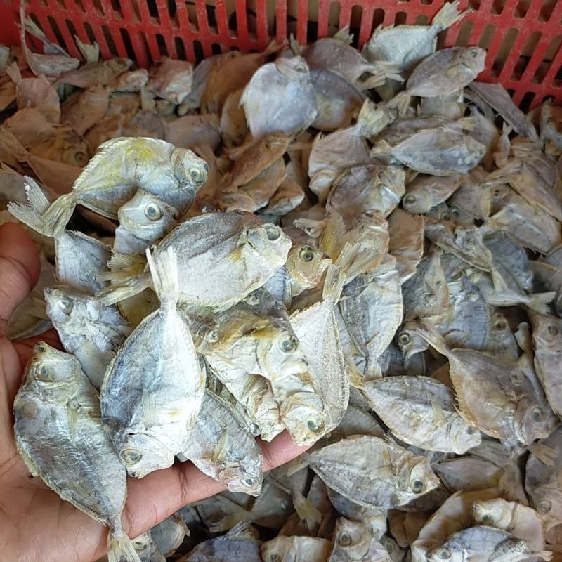 

ikan asin petek sedang / Ikan Asinan Indonesia /Ikan Asin Empar Petek