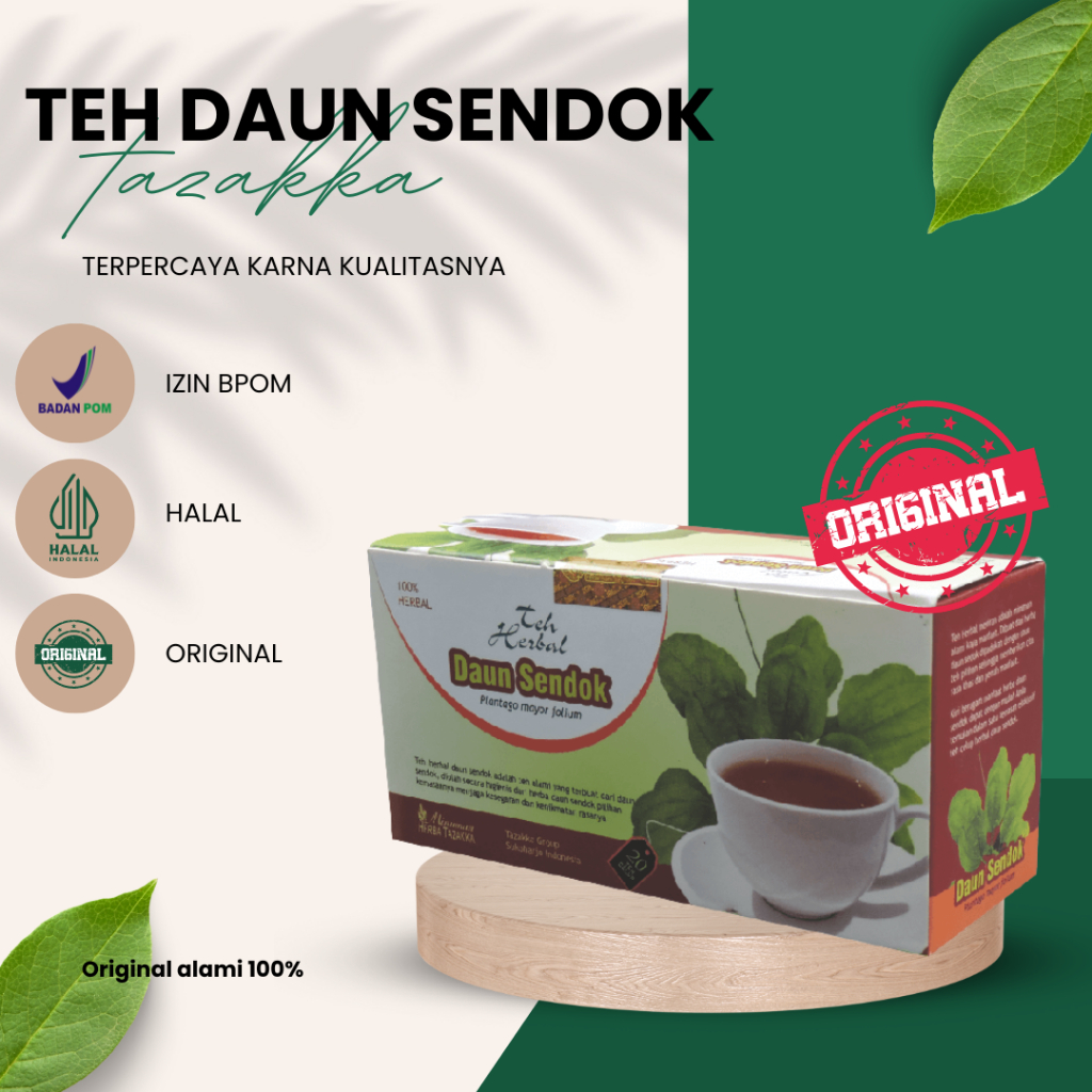 

Mengatasi Gangguan Sluran Kencing dan Nyeri Sendi Teh Herbal Daun Sendok Tazakka halal bpom resmi