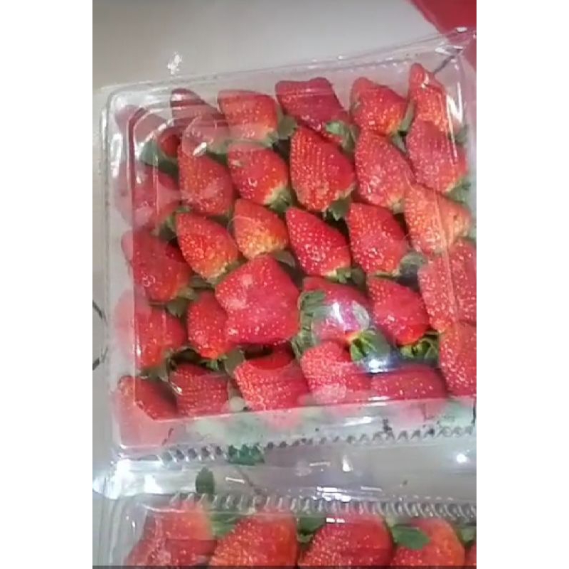 

Strawberry Fresh Kelly 1 Kg Asli Ciwidey