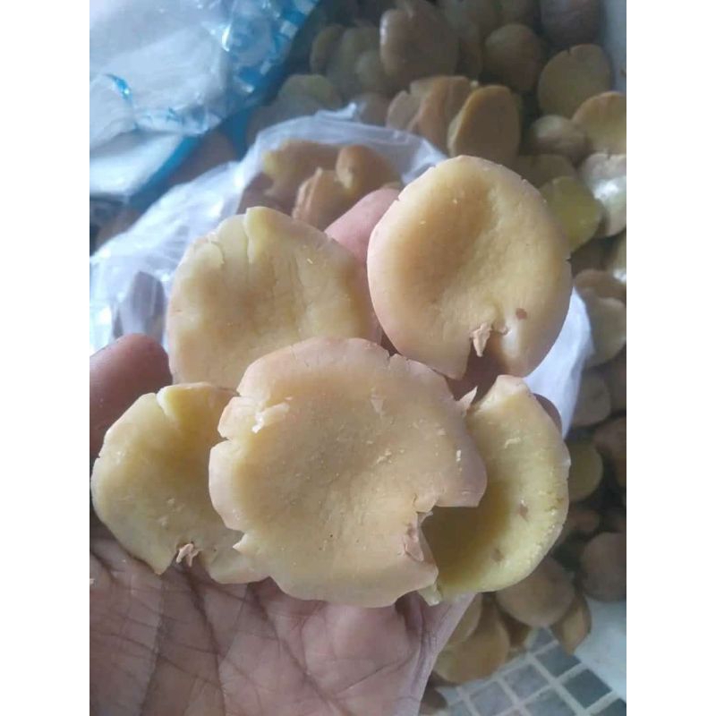 Jengkol Rebus Tokok 1kg Tua Pulen