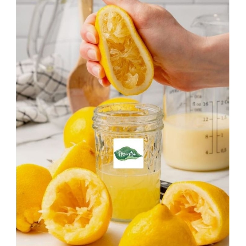 

HARVESTEA SARI LEMON JUICE MURNI | PURE LEMON JUICE