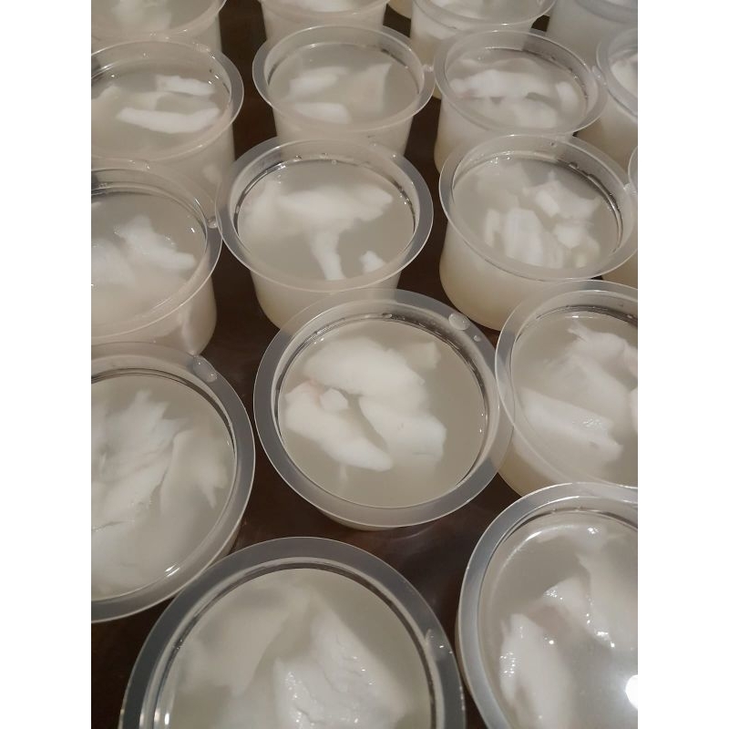 

puding-kelapa SALITA