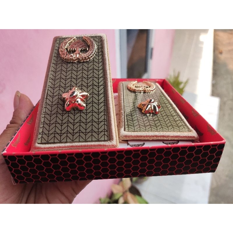 Pangkat asn pns kota Lampung Golongan 4A