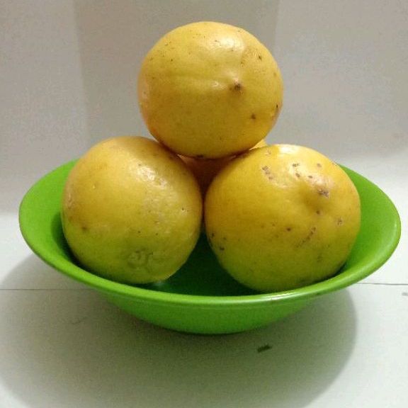 

Lemon Lokal segar 500gram