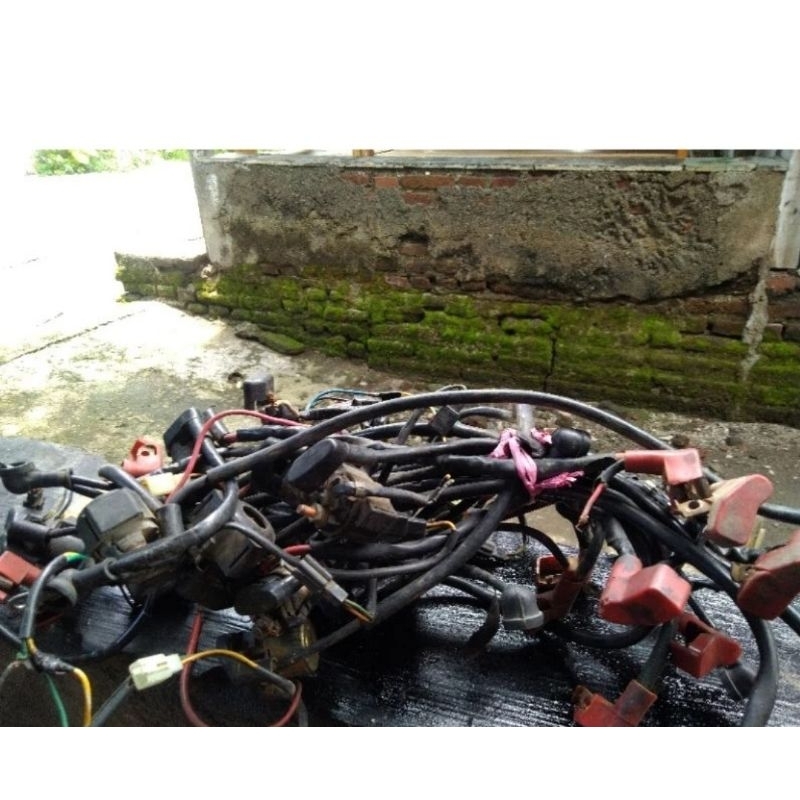 Bendik tiger revo bandik mega pro primus bendik tirev