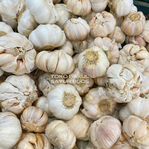 

Bawang Putih 1 Bonggol - Sayuran Segar - Sayuran Fresh