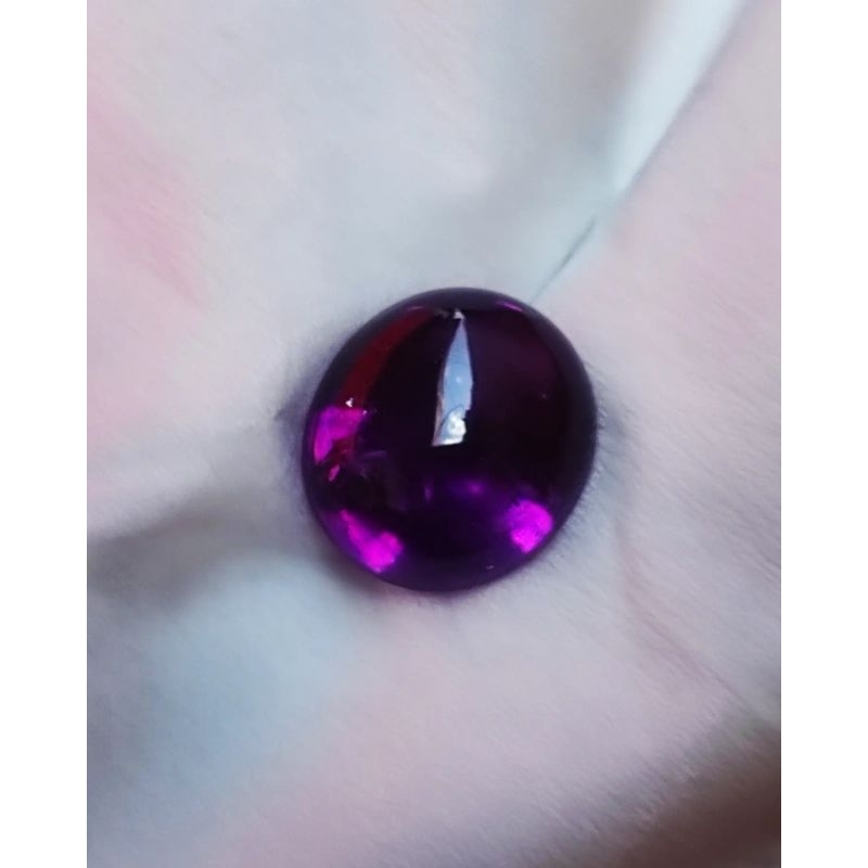 KECUBUNG UNGU AIR MERAH, KECUBUNG UNGU WULUNG, KECUBUNG UNGU BENTOL