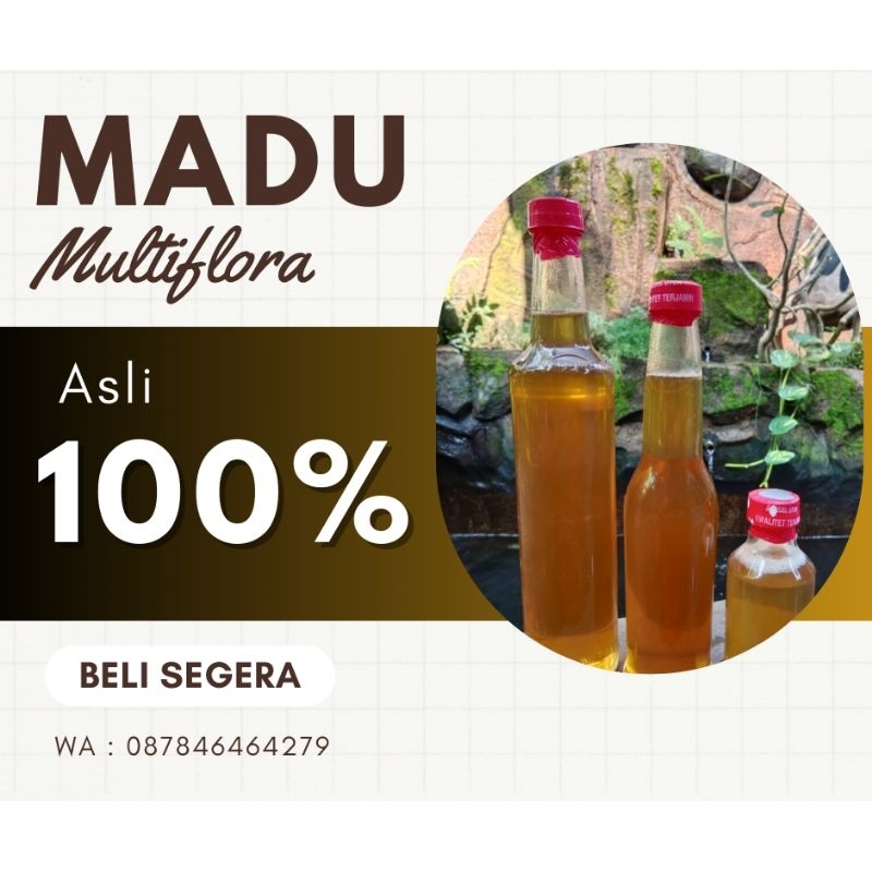 

Madu Multiflora raw honey 100% asli