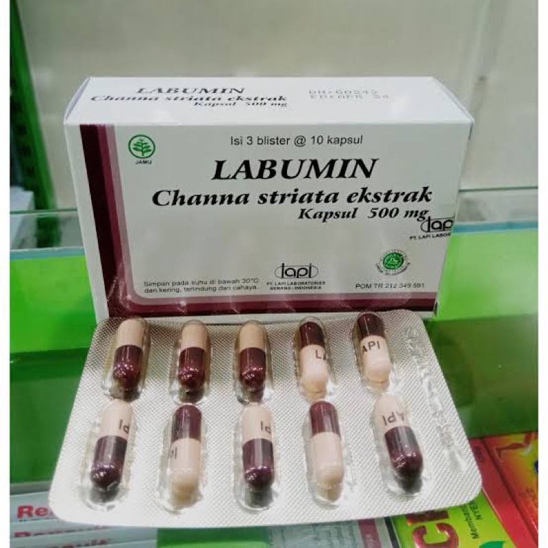 Labumin extract ikan gabus