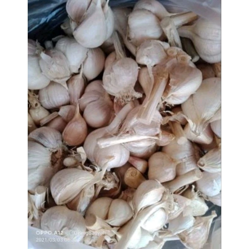 

Bawang Putih Kating 500gram