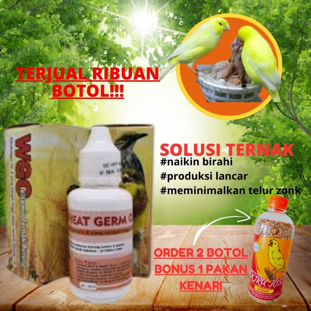 TERLARIS WGO Vitamin Ternak Burung. Vitamin Breeding Kenari. Vitamin Ternak Kenari Blackthroat Murai