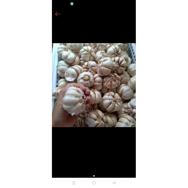 

BAWANG PUTIH 500gr
