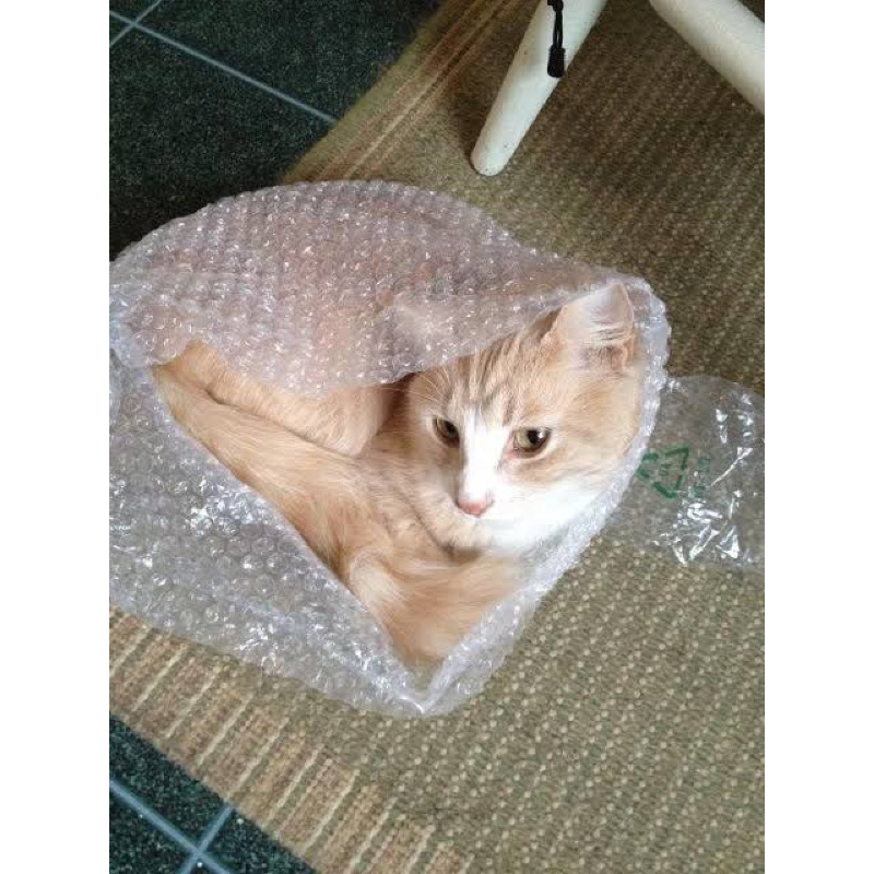 

Tambahan bubble wrap