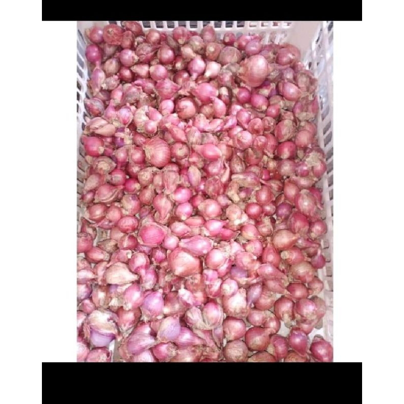 

Bawang merah 1/2 kg
