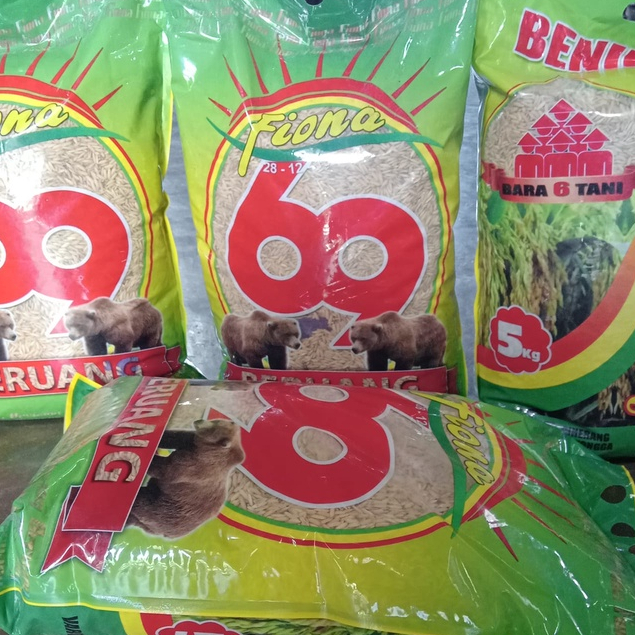 Benih Bibit Padi Ciherang Beruang Ori fiona 5 kg Label ungu