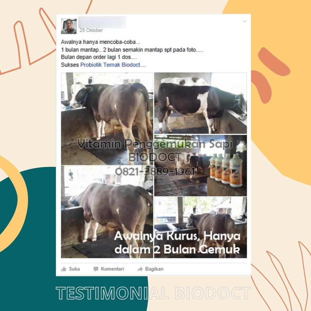 Vitamin Sapi Agar Cepat Gemuk,Vitamin Penggemuk Sapi, Jamu Sapi Penggemuk, Vitamin Sapi Nafsu Makan,