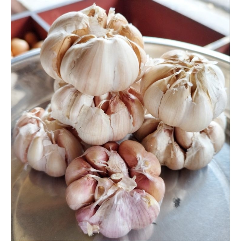 

Bawang Putih Fresh Bersih 250 gram & 500 gram