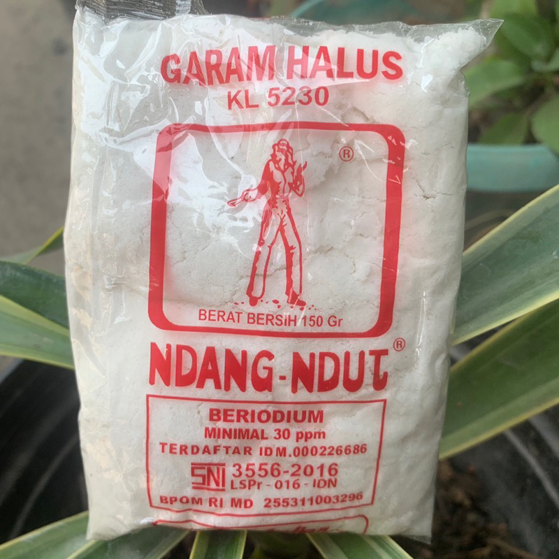 Garam dangdut beryodium garam halus garam kasar garam batangan