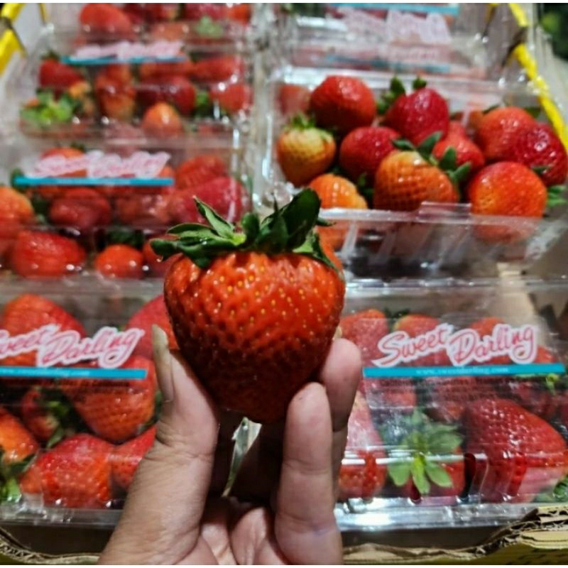 strawberry cerry manis segar 250g