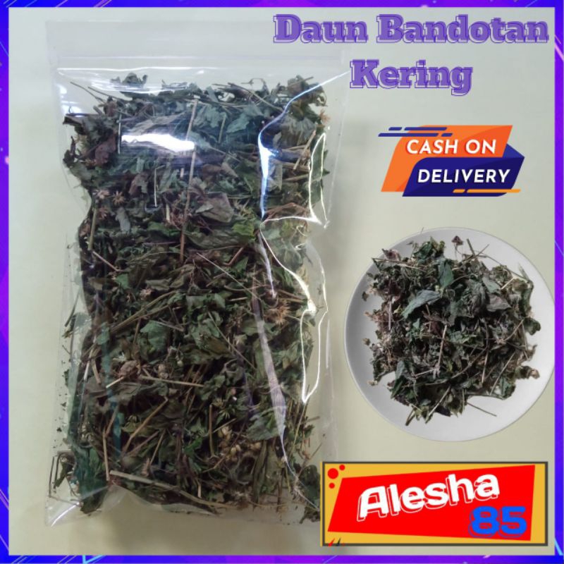 

Daun Bandotan Kering 50 gr
