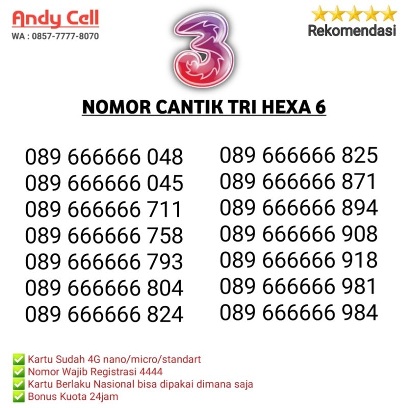 nomor cantik tri hexa 666666