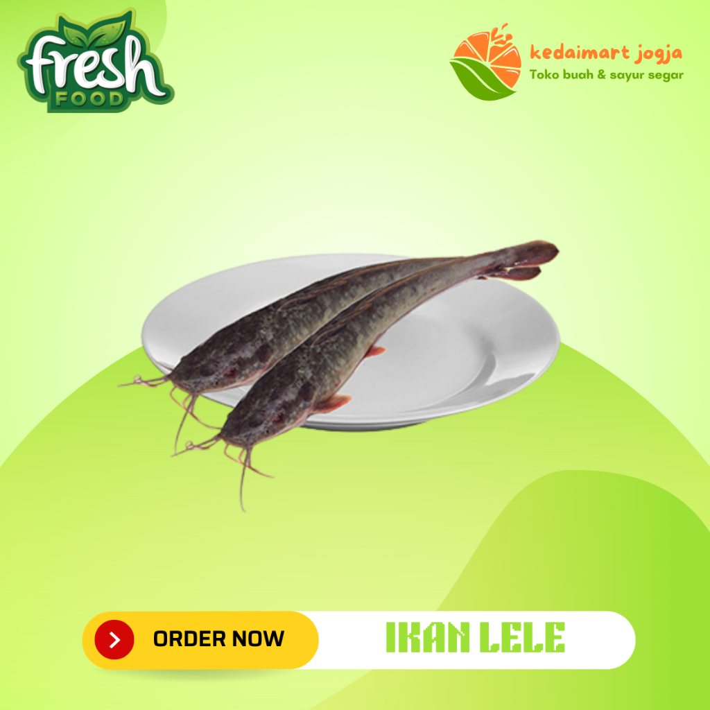 

Ikan Lele Segar 1kg Ikan Fresh Kedaimart Jogja