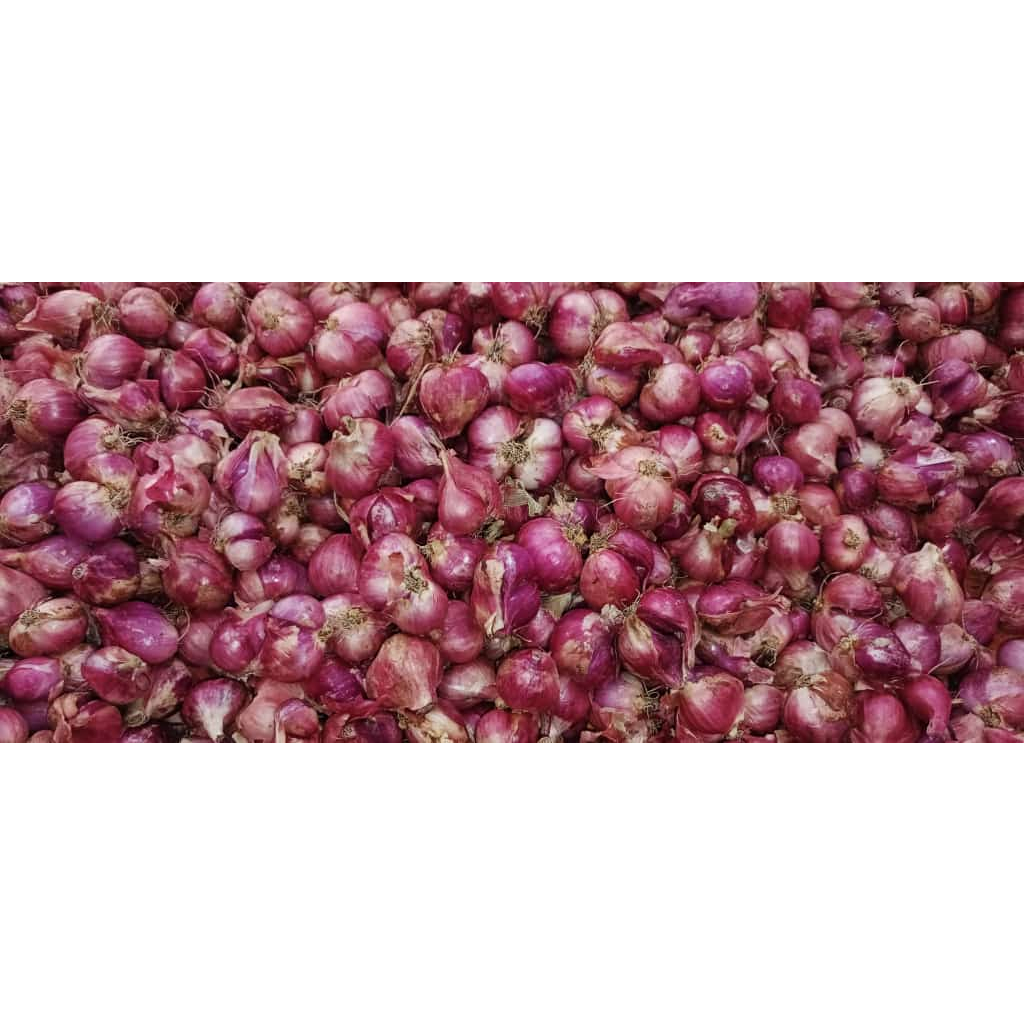 

Ready Stock Bawang Merah Berkualitas 1 Kg