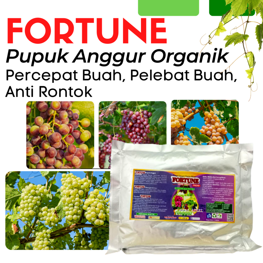 Pupuk Booster Anggur Organik Untuk Pertumbuhan, Pupuk Anggur Masa Generatif