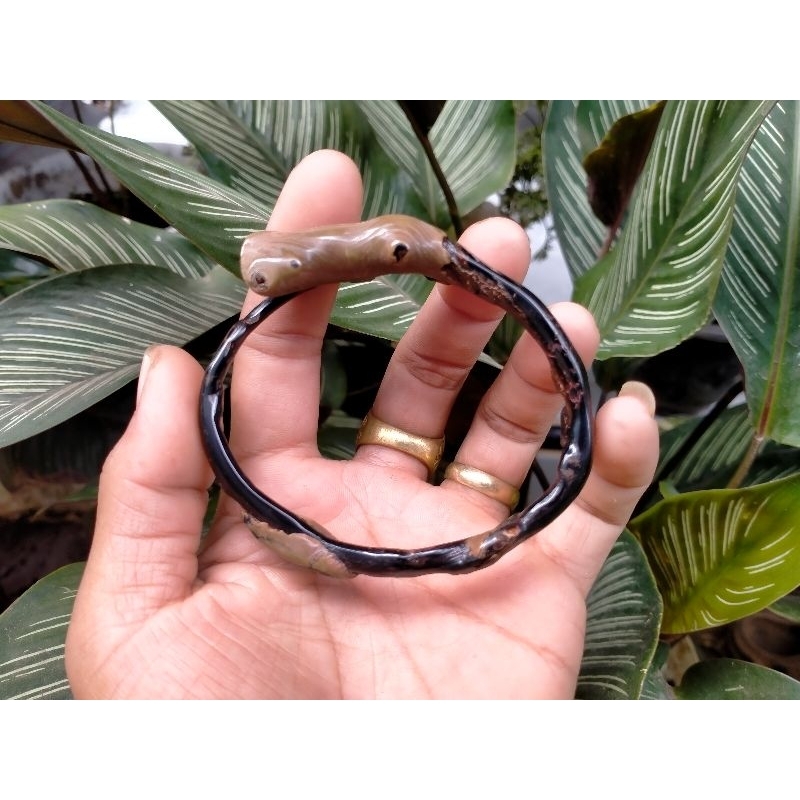 gelang akar Bahar Hitam natural berbonggol baru alami