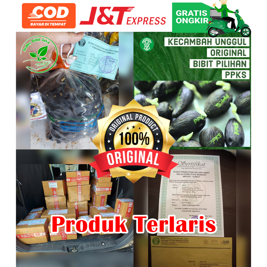 PPKS DURA UNGGUL DAPAT SERTIFIKAT