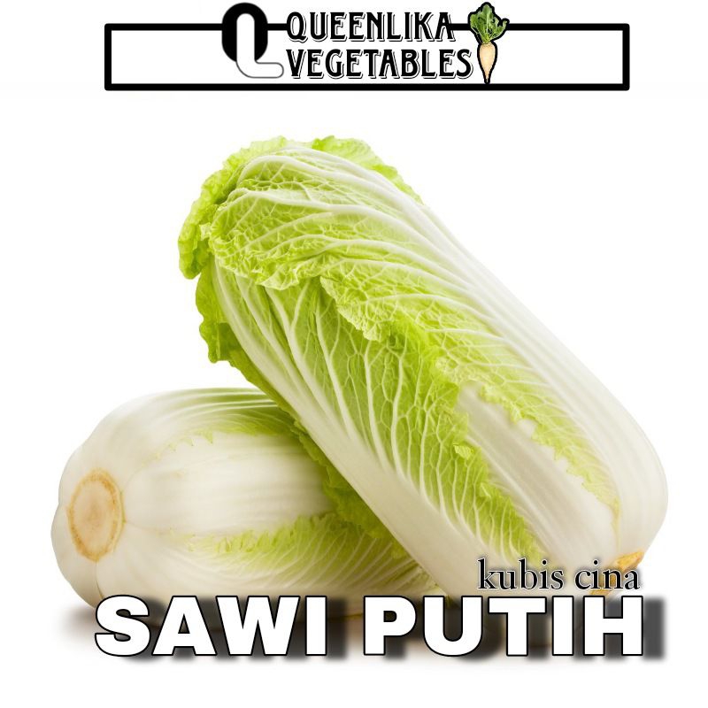 

Sawi putih segar (kubis cina)